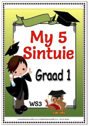Graad 1 PDF - My 5 Sintuie – Woorde, Lees en Begrip + Vrae Oefening (8 blaaie)
