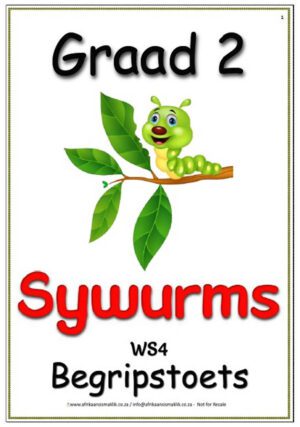 Graad 2 Begripstoets – Sywurms, Vrae en Memo