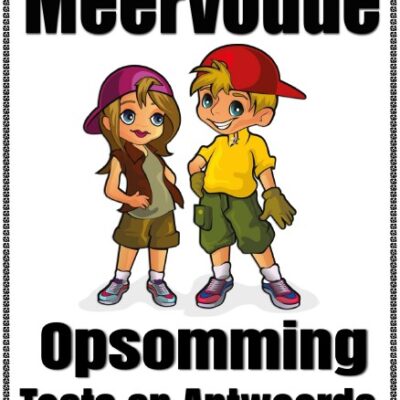 Graad 1-7 Meervoude - (Plurals) -  (17 Blaaie) Opsomming, Woorde, en Toets met Memo Antoorde