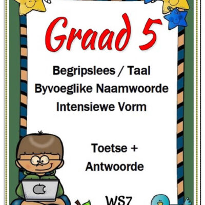 Graad 5 - Begripslees, Taal, Byvoeglike naamwoord + Intensiewe Vorm - Toetse + Memo (9 Blaaie)