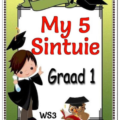 Graad 1 PDF - My 5 Sintuie – Woorde, Lees en Begrip + Vrae Oefening (8 blaaie)