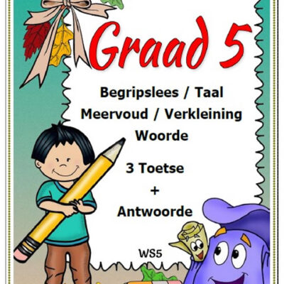 Graad 5 - Begripslees, Taal, Meervoud, Verkleining 3 Toetse + Antwoorde (10 Blaaie)