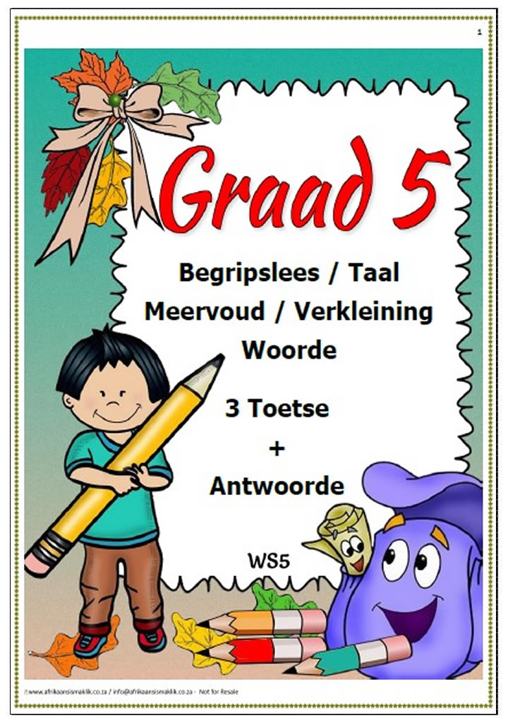Gr5 Begrip, Taal, Meervoud, Verkleining 3 toetse ft pg