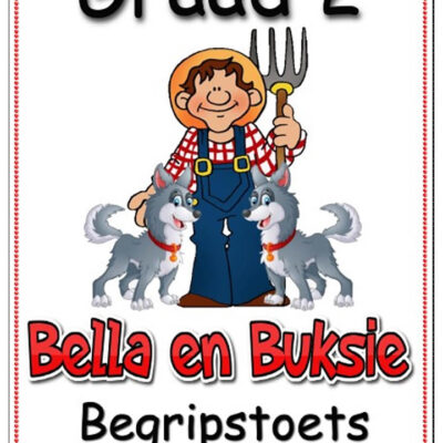 Graad 2 Begripstoets - Bella en Buksie - Vrae met Memo