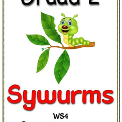 Graad 2 Begripstoets – Sywurms, Vrae en Memo