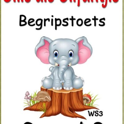 Graad 2 Begripstoets – Ollie die Olifantjie, Vrae en Memo