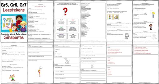 Graad 5,6,7 - Leestekens en Sinsoorte - PDF - Opsomming, Woorde, Toets + Memo - Image 2