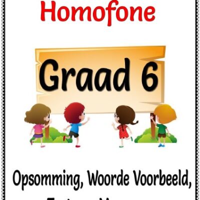 Graad  6 PDF- Homonieme, Homofone Opsomming, Woorde Betekenis + 3 Toetse + Memo